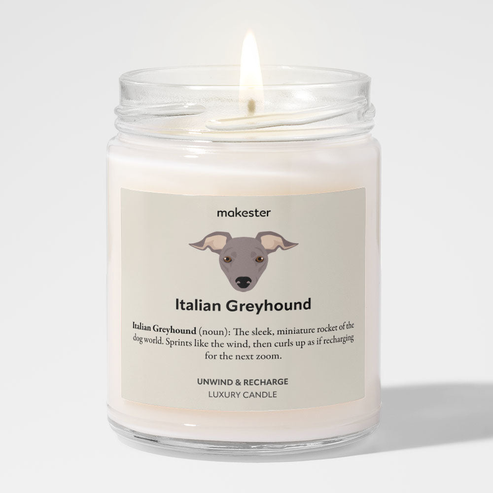 Italian Greyhound