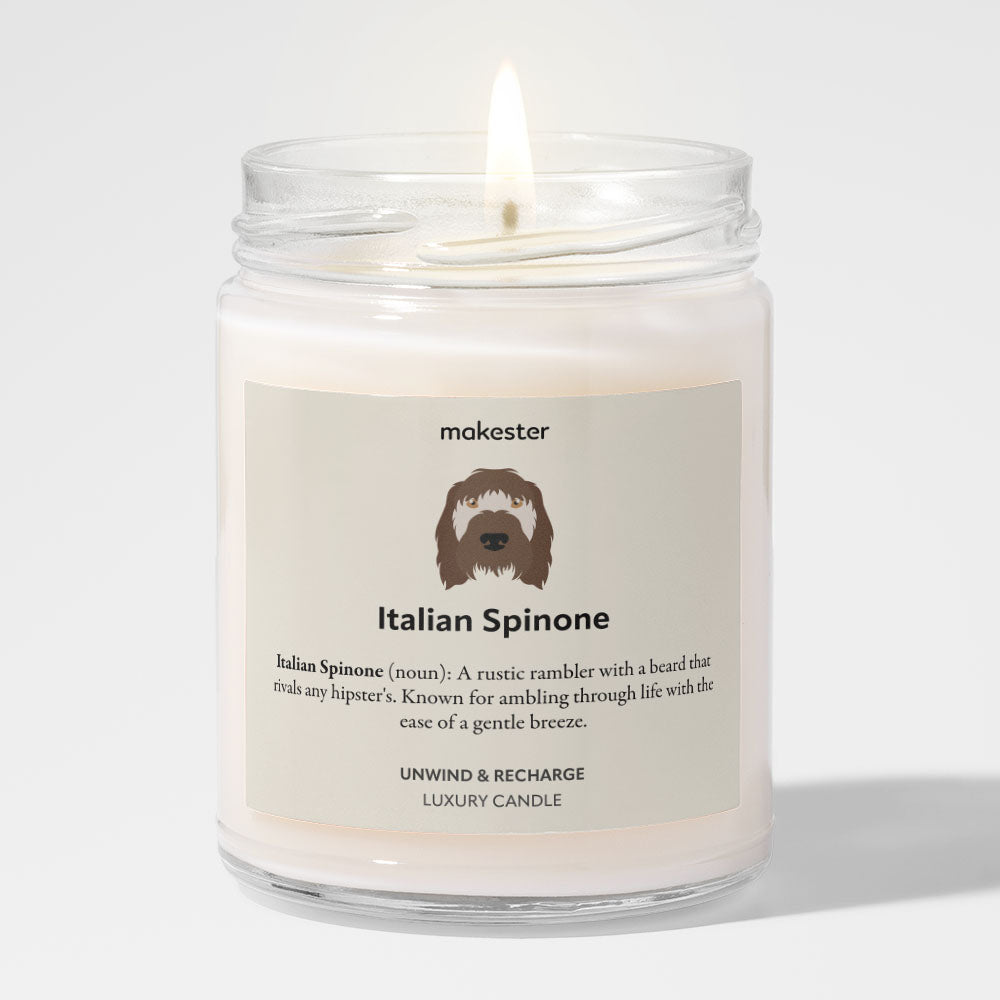Italian Spinone