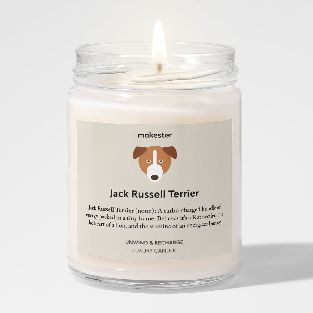 Jack Russell Terrier