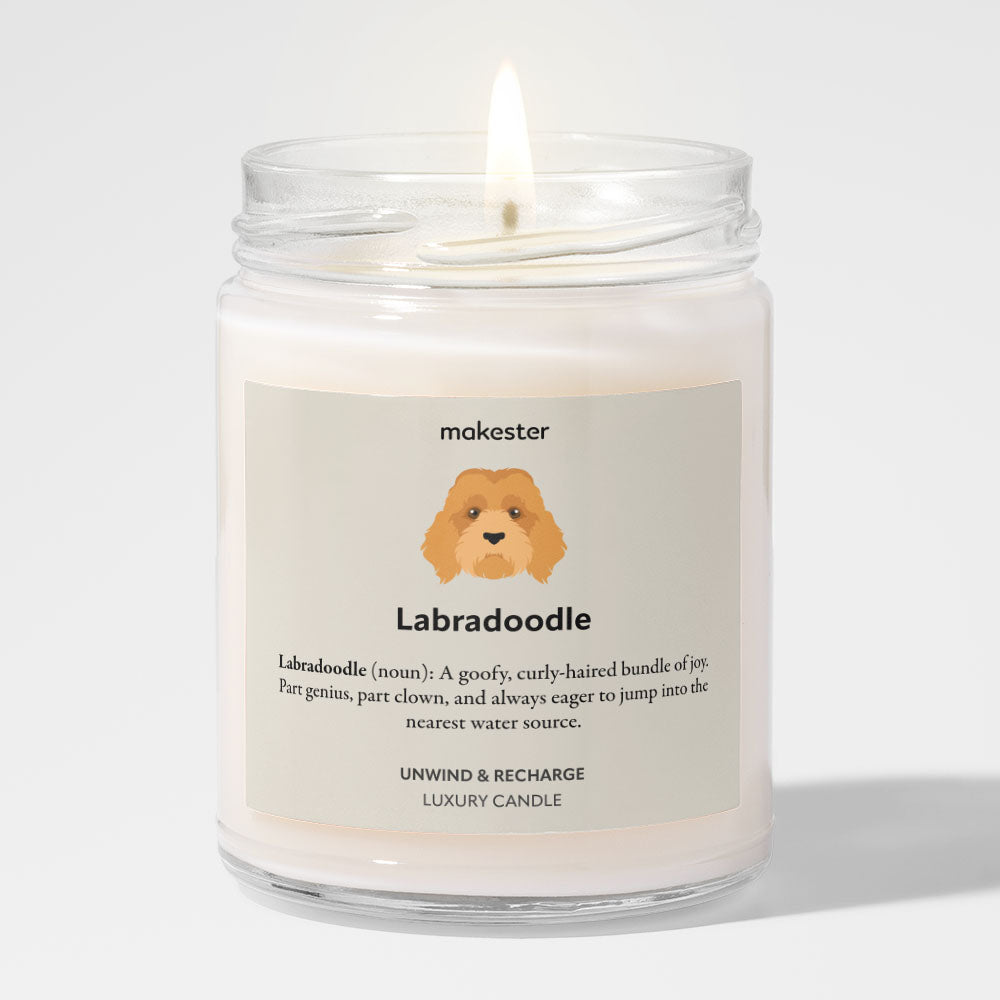 Labradoodle