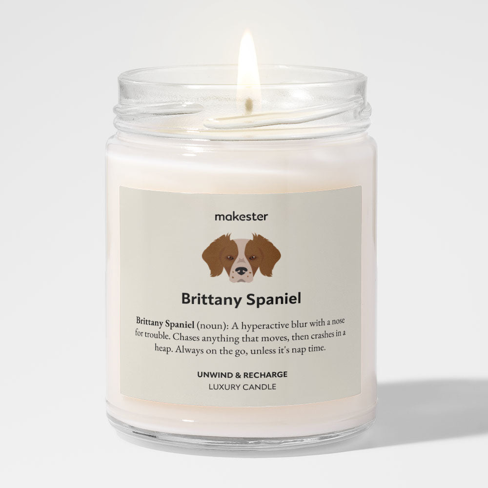 Brittany Spaniel