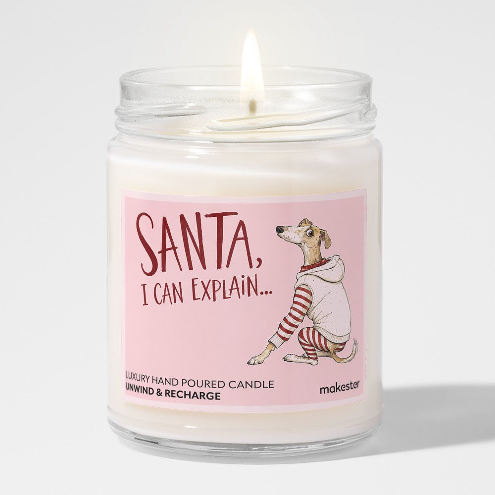 Santa I Can Explain