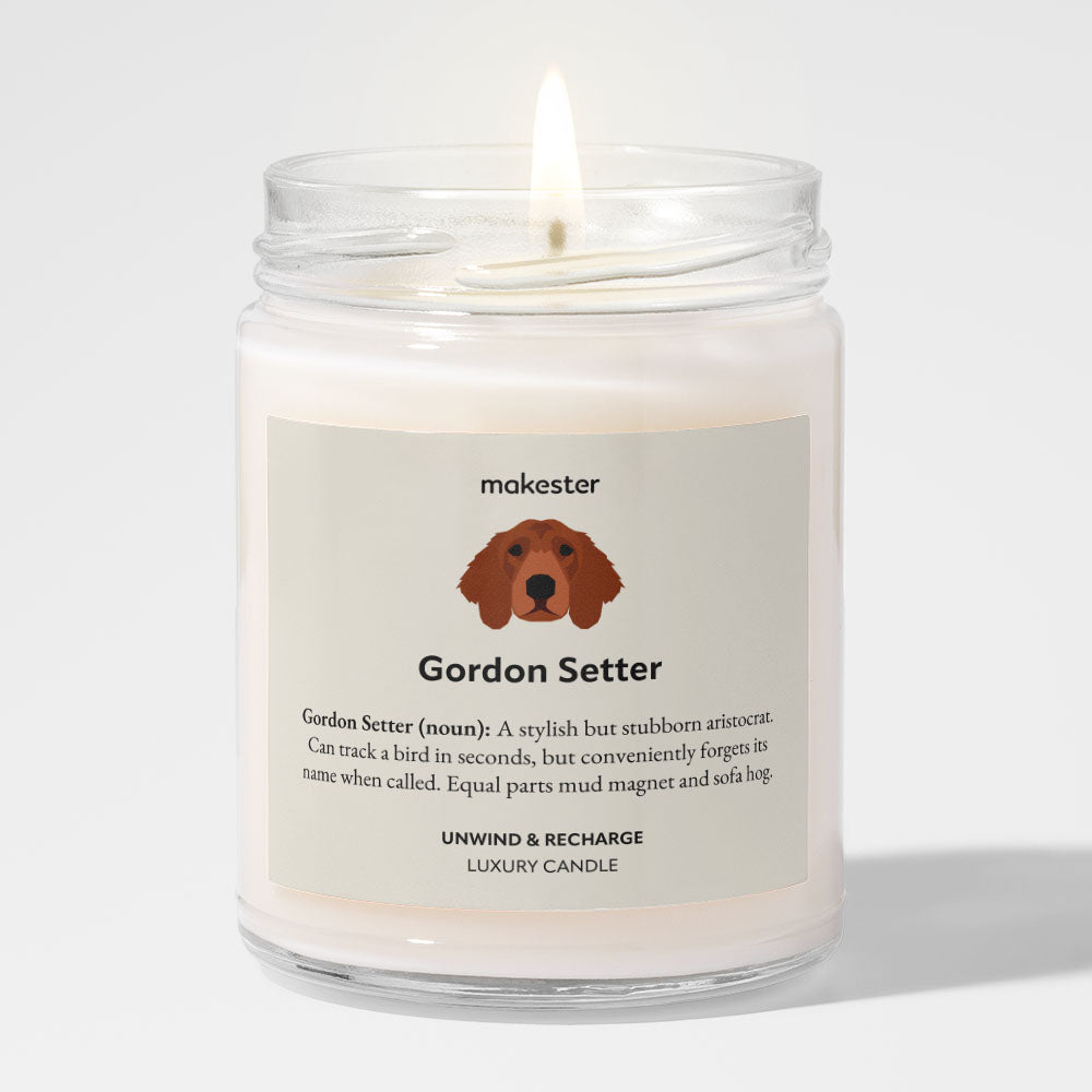 Gordon Setter