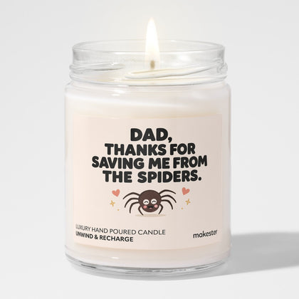 Dad The Spider Savior