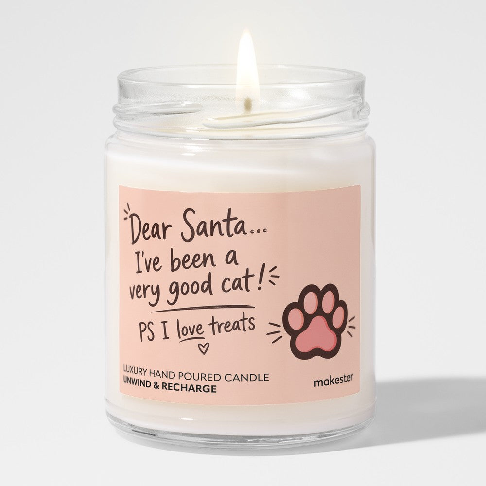 Good Cat Treats Santa
