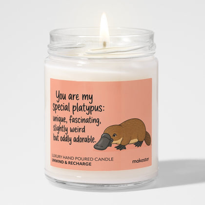 My Special Girlfriend Platypus