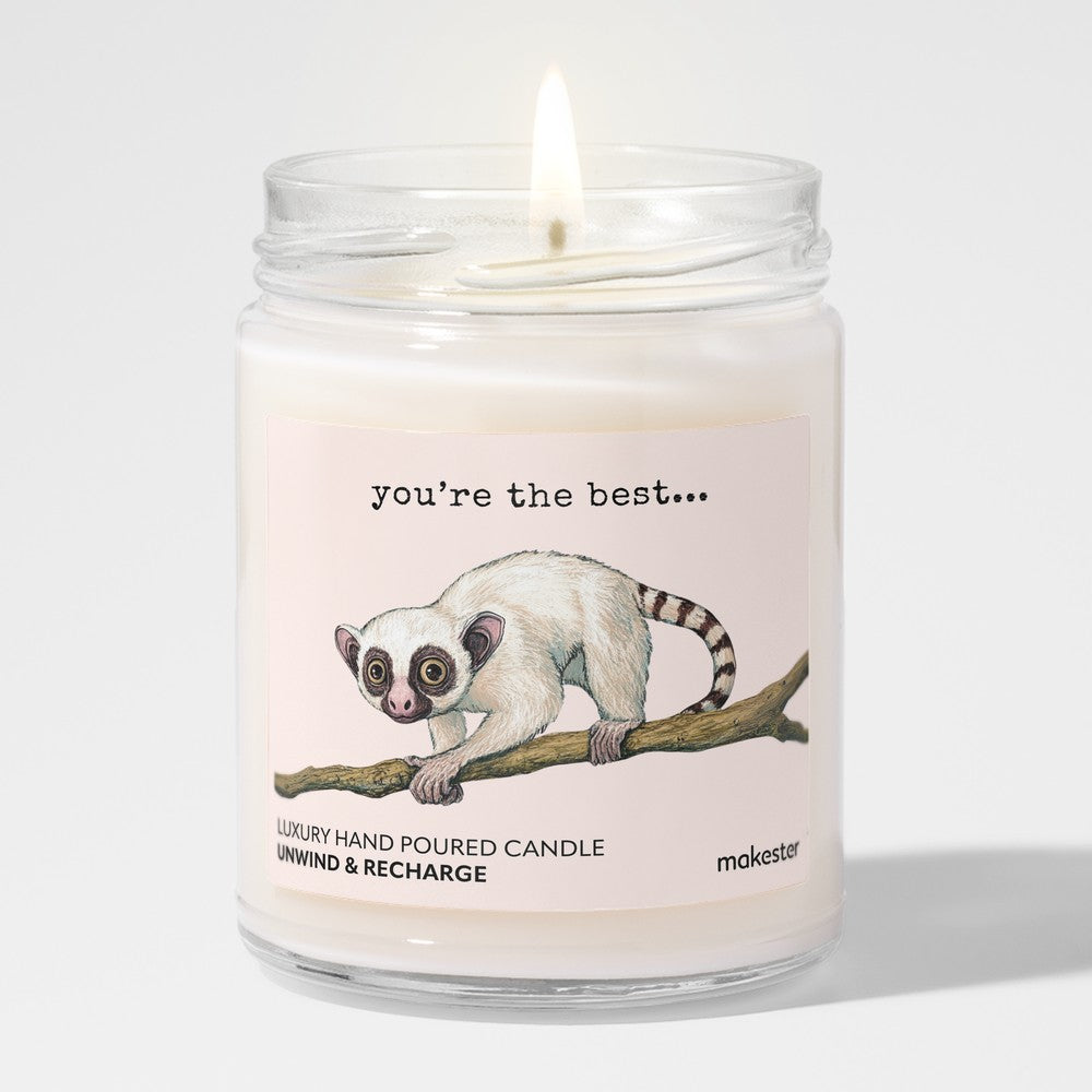 Best Slow Loris