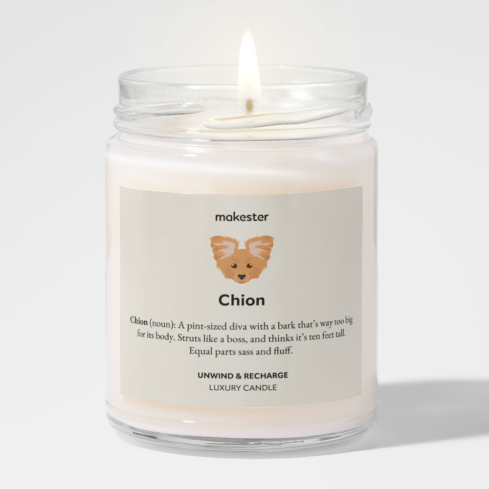 Chion