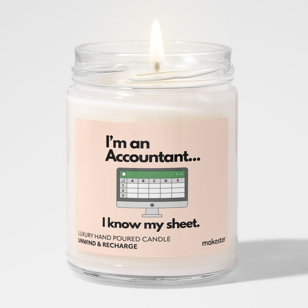Accountant Sheet