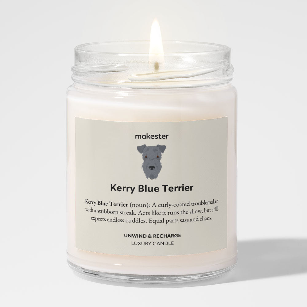 Kerry Blue Terrier