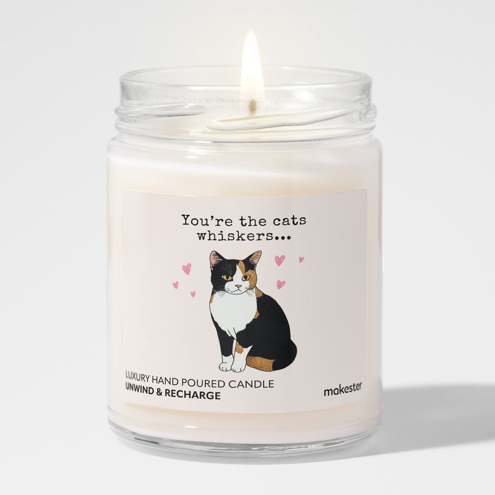 Calico Cat