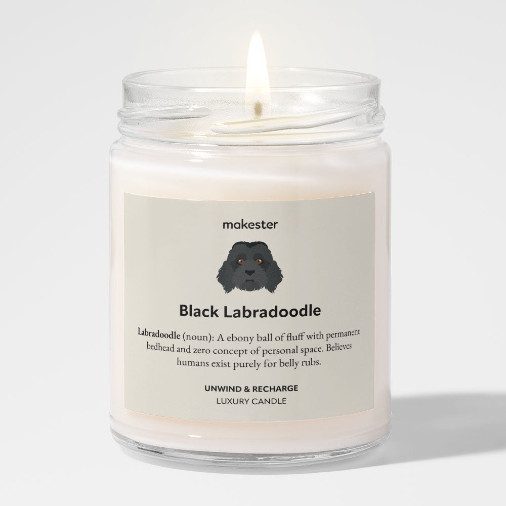 Black Labradoodle