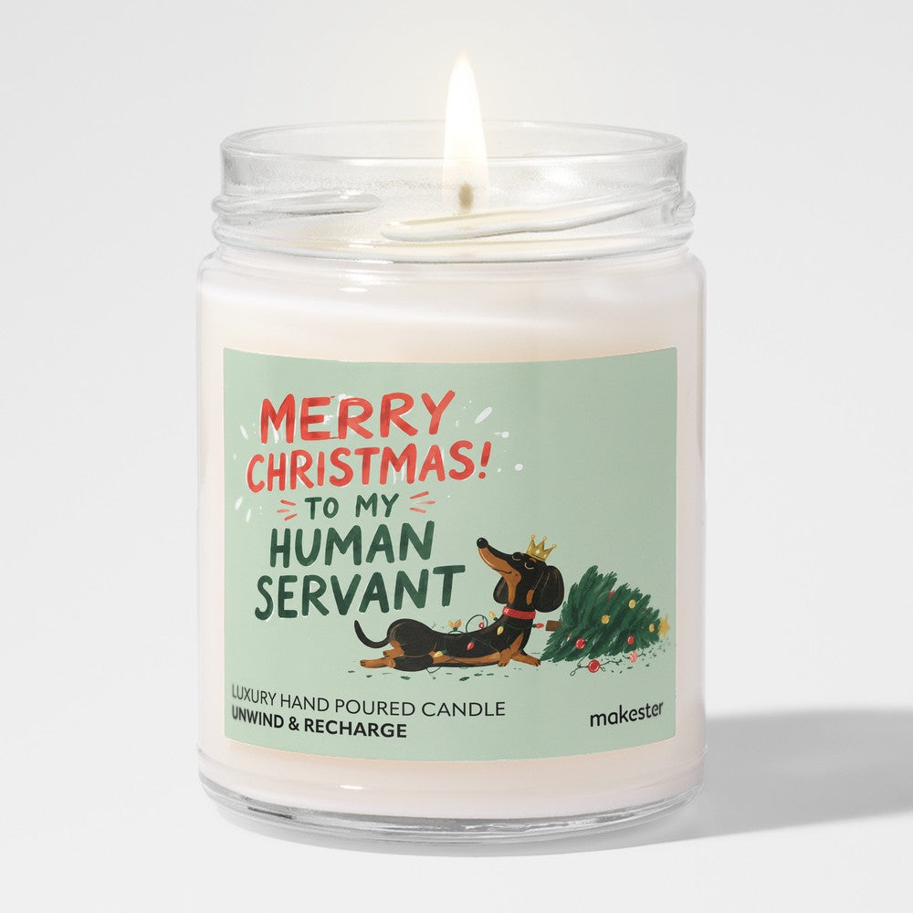 Merry Christmas Human Servant