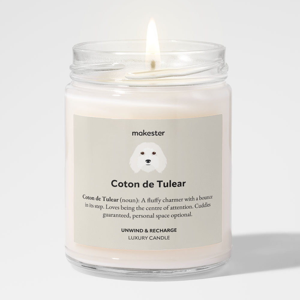 Coton de Tulear
