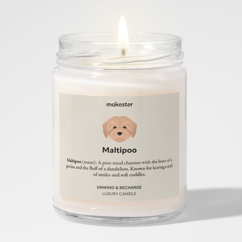 Maltipoo
