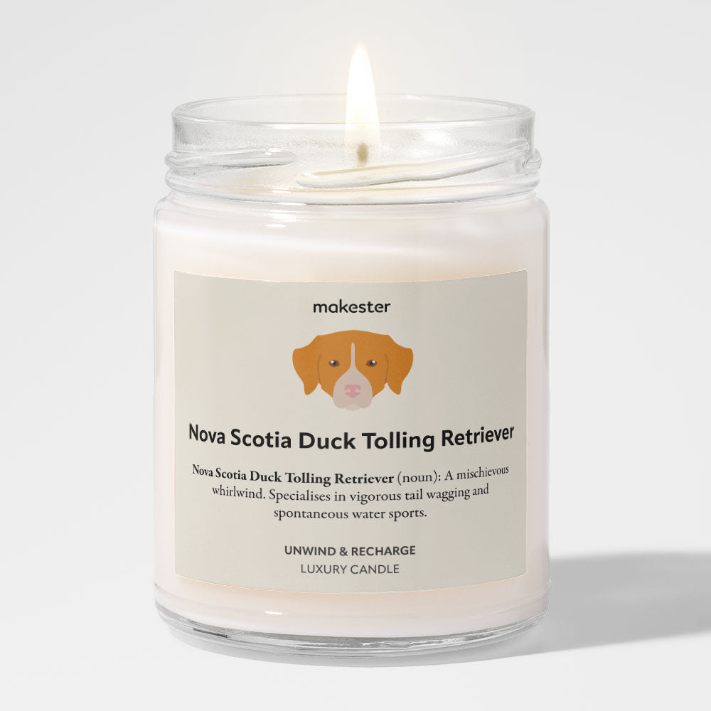 Nova Scotia Duck Tolling Retriever