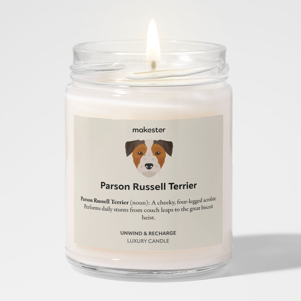 Parson Russell Terrier