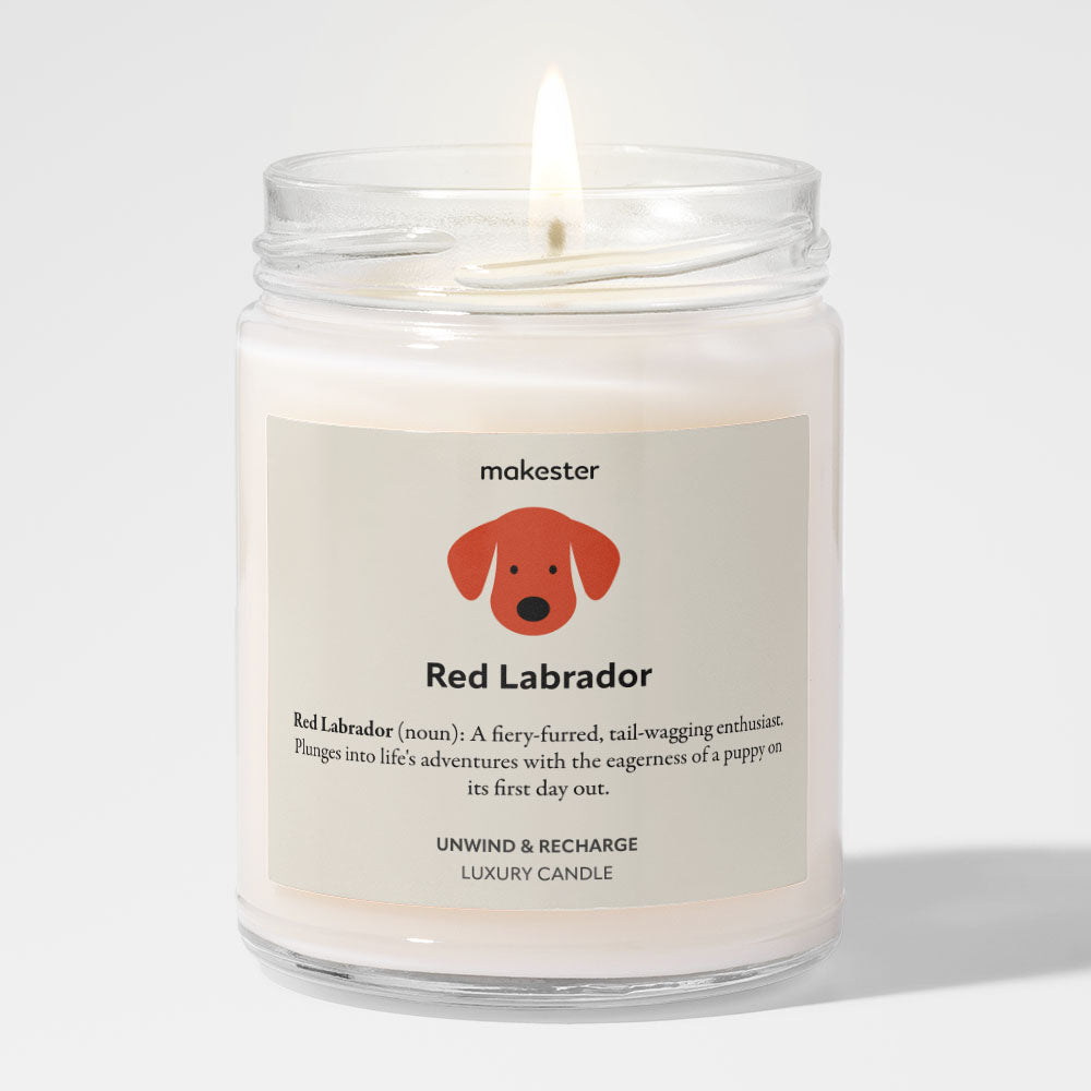 Red Labrador
