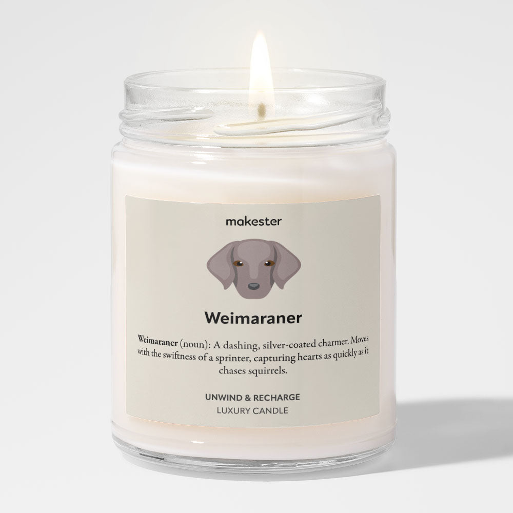 Weimaraner