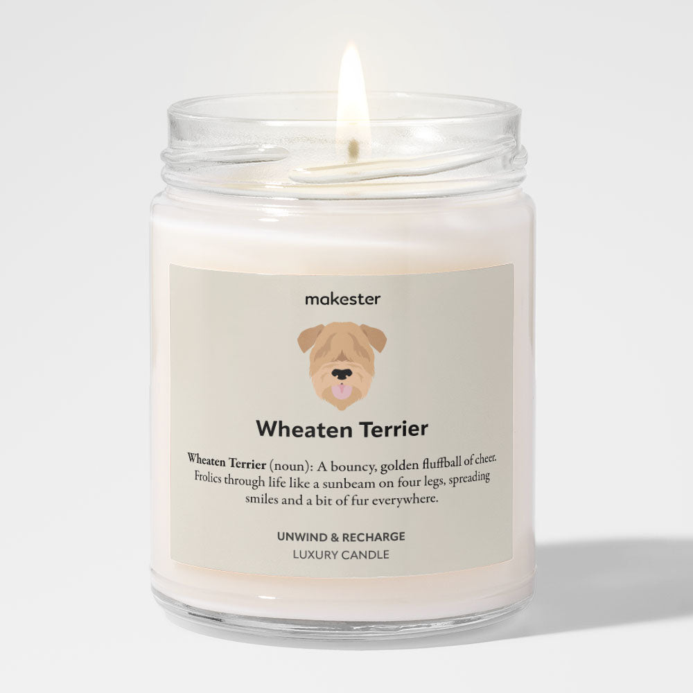 Wheaten Terrier