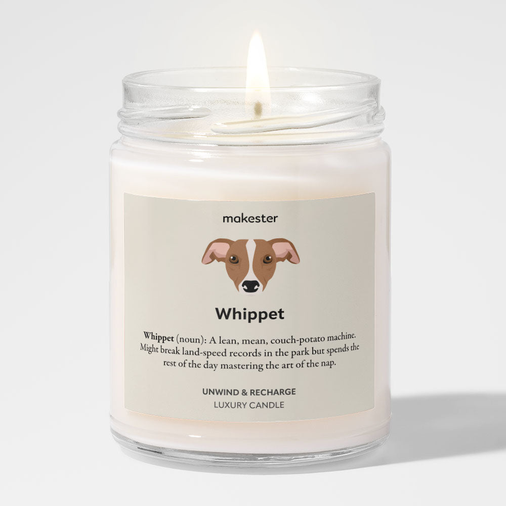 Whippet