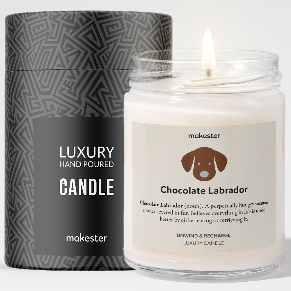 Chocolate Labrador