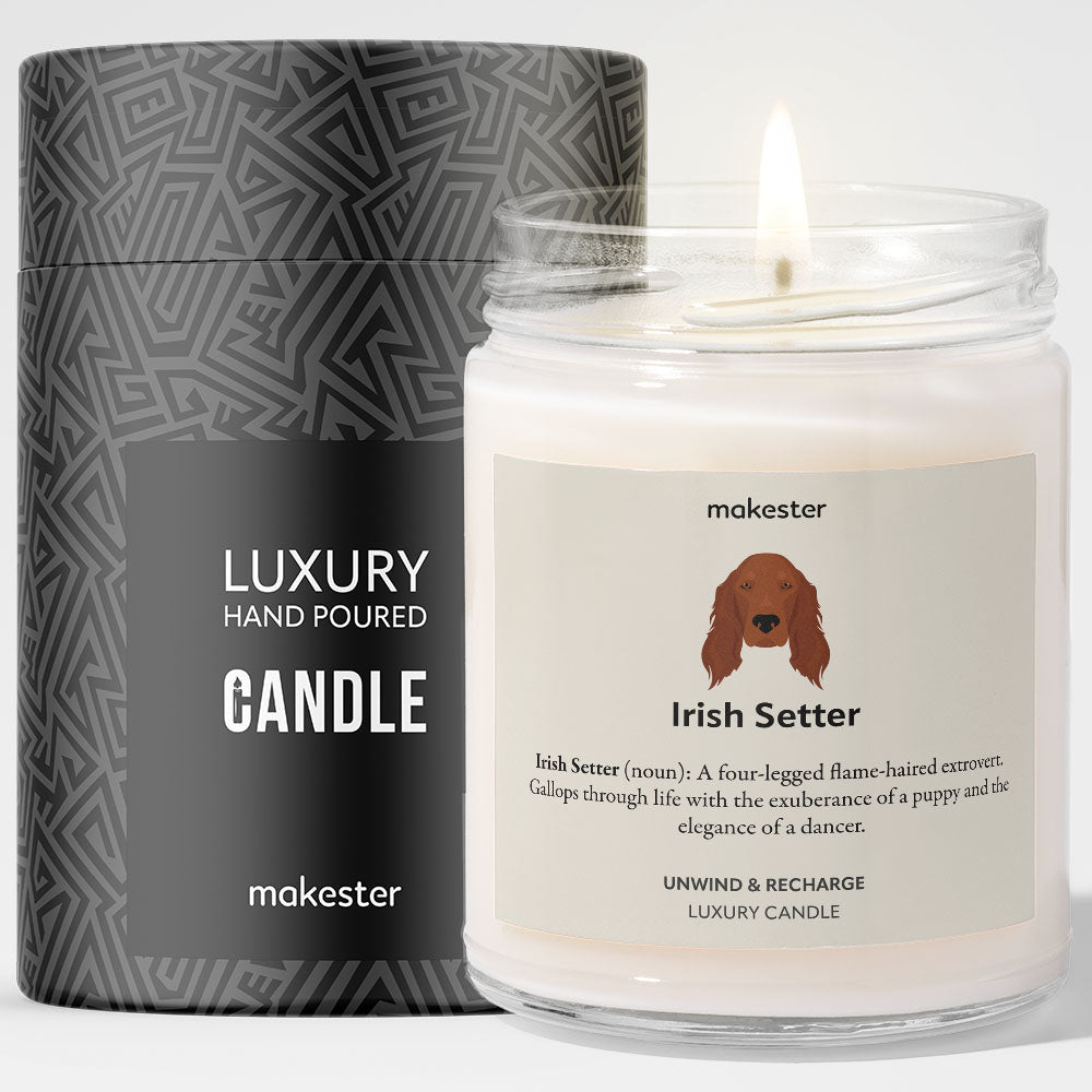 Irish Setter