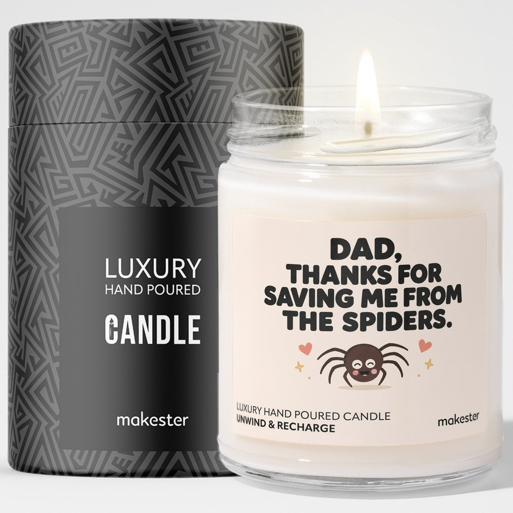 Dad The Spider Savior