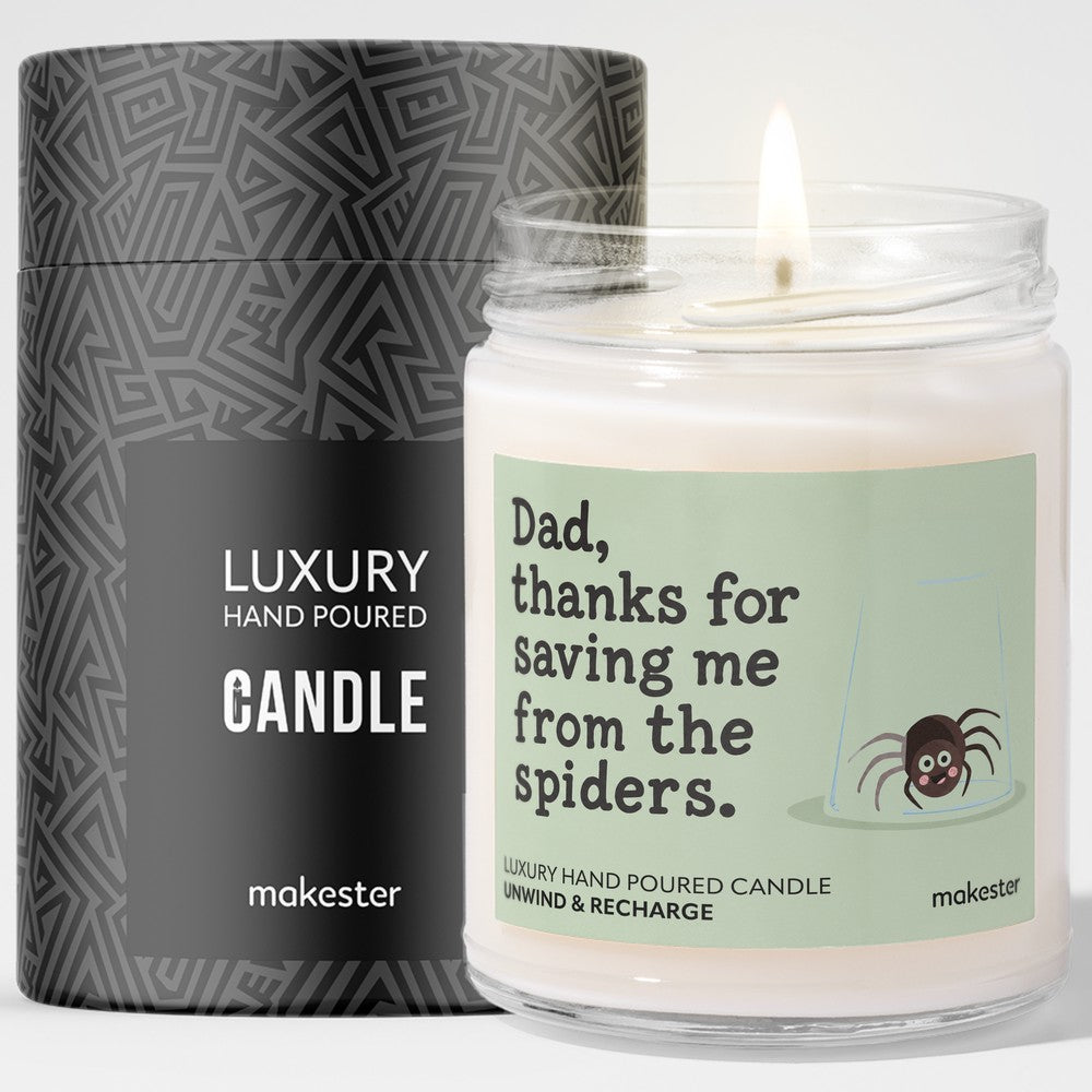 Dad The Spider Savior