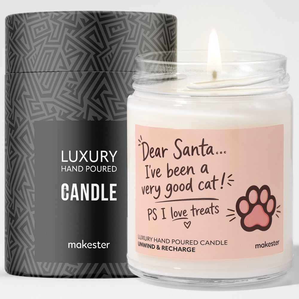 Good Cat Treats Santa