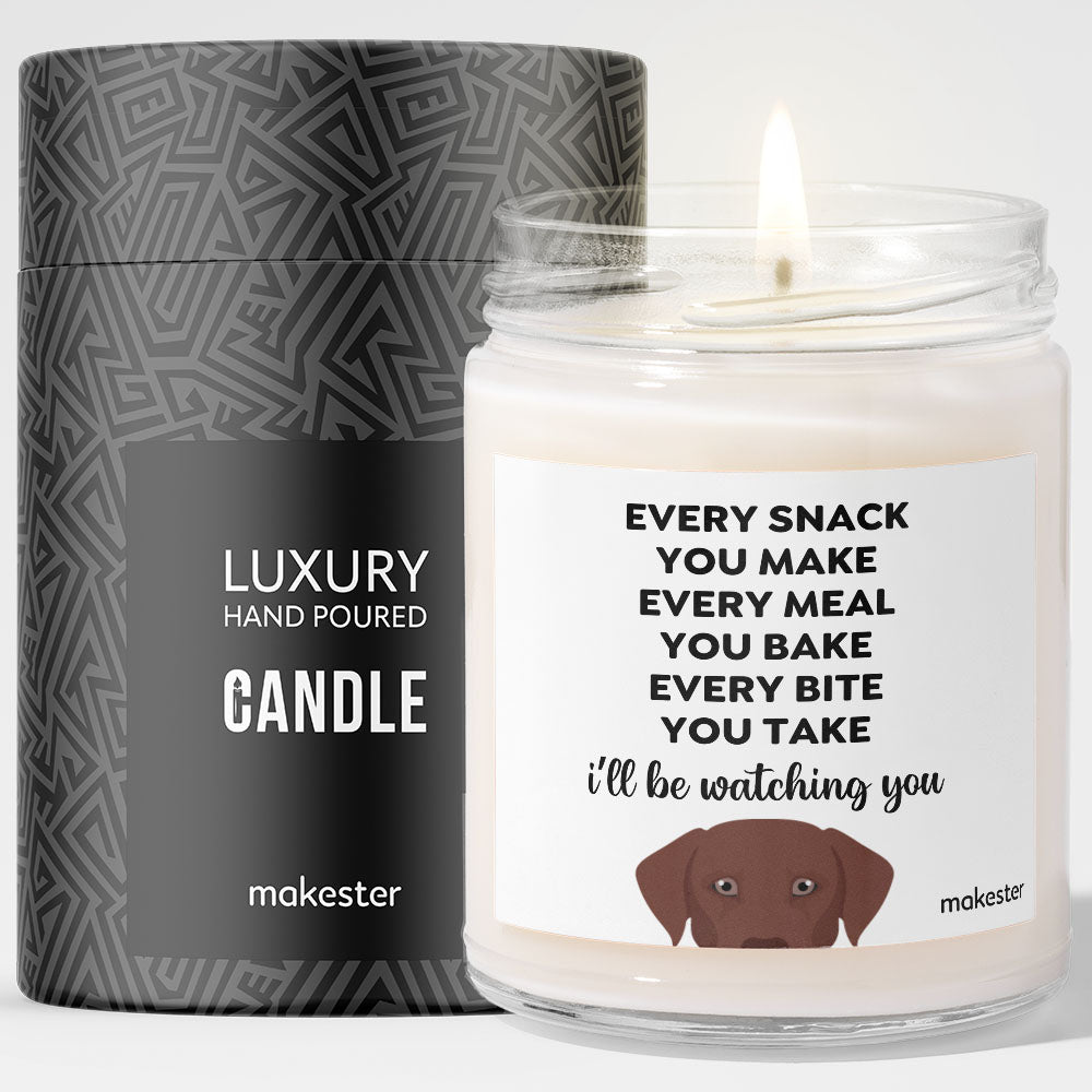 Watching You Brown Lab