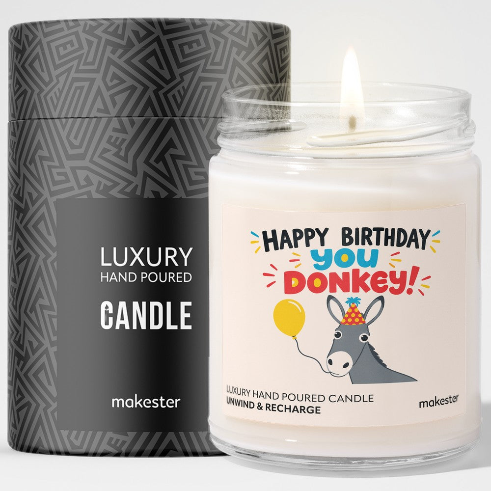 You Donkey Birthday Candle