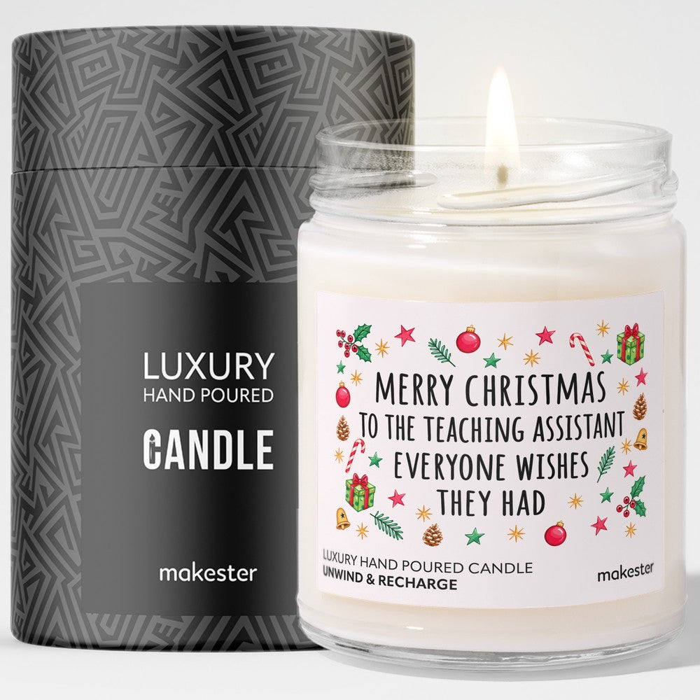Teaching Assistant Everyone Wishes For