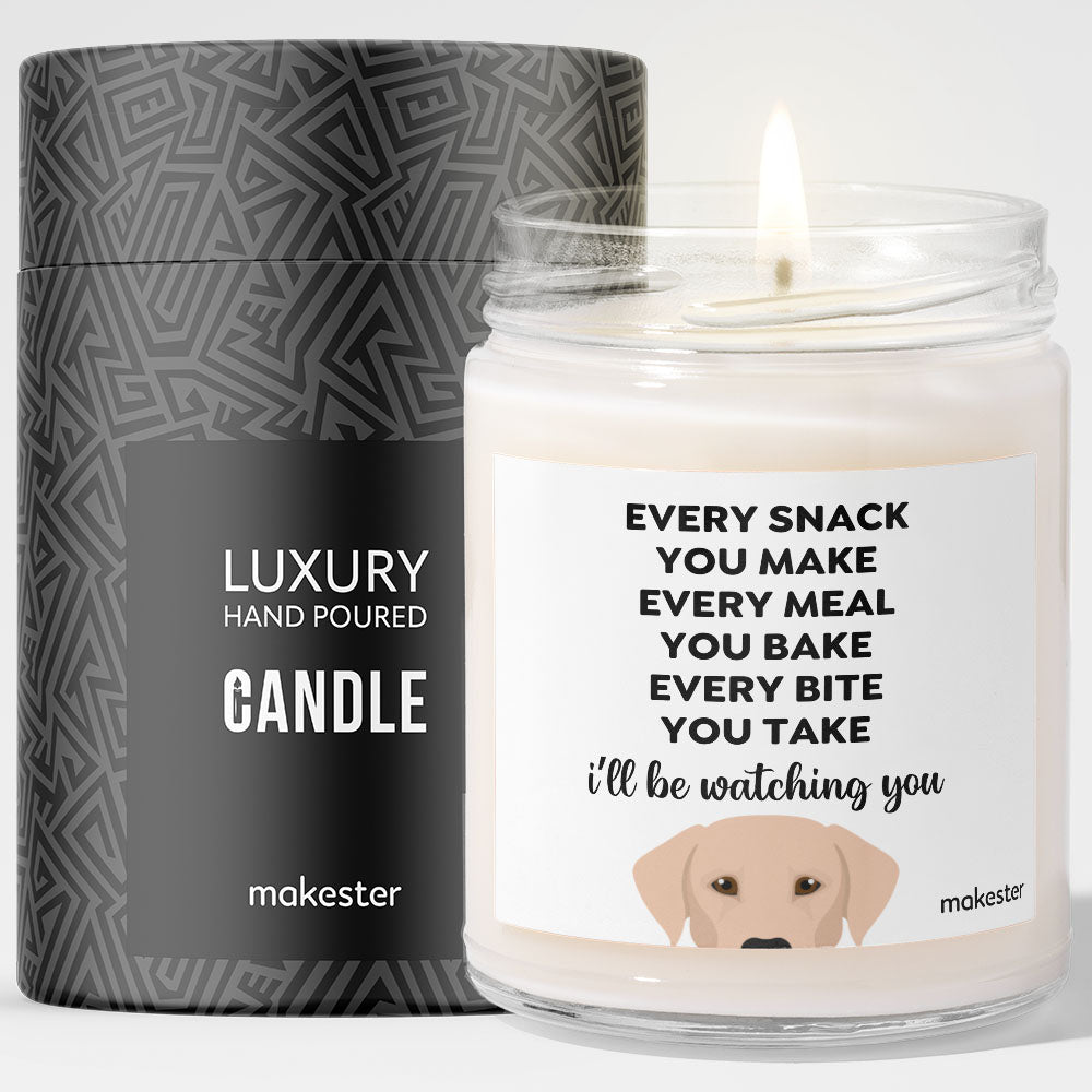 Watching You Beige Lab