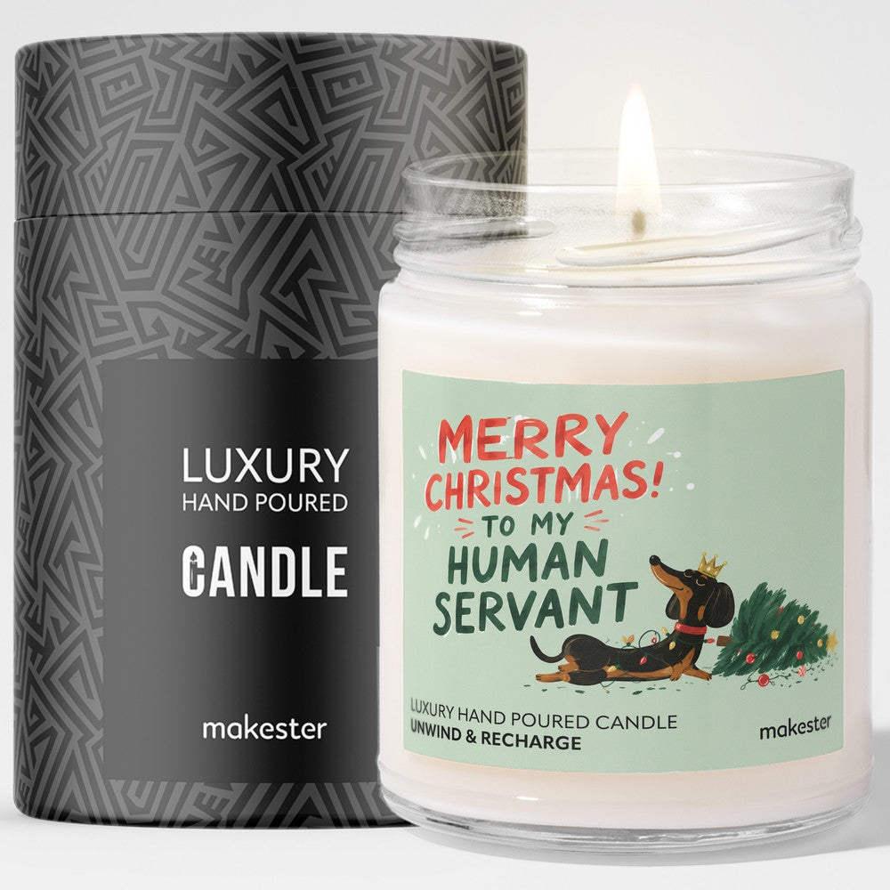 Merry Christmas Human Servant