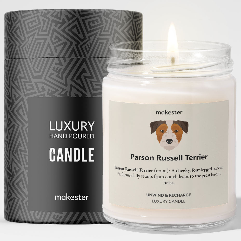Parson Russell Terrier