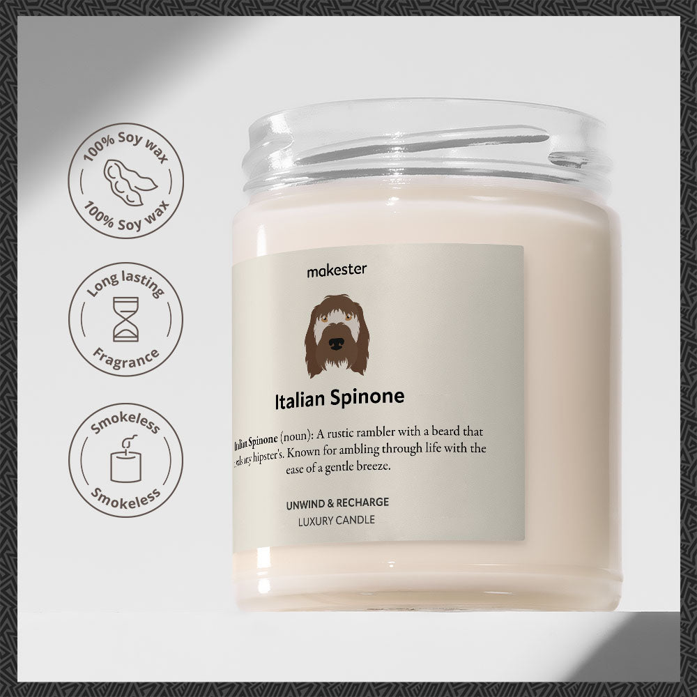 Italian Spinone