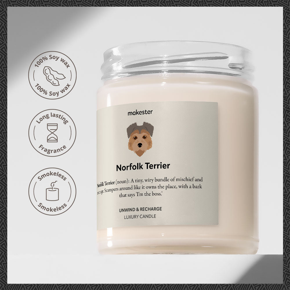 Norfolk Terrier