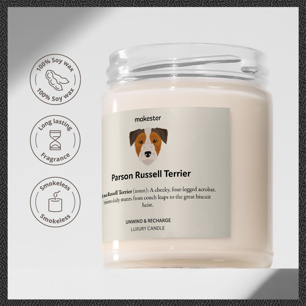 Parson Russell Terrier