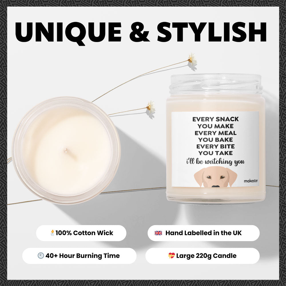 Watching You Beige Lab