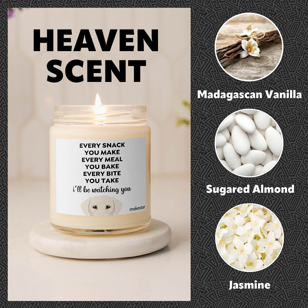 Watching You Silver Lab