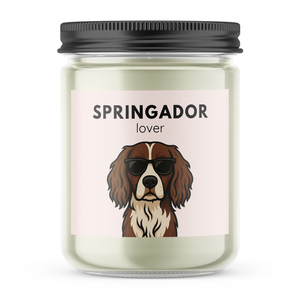 Springador Lover