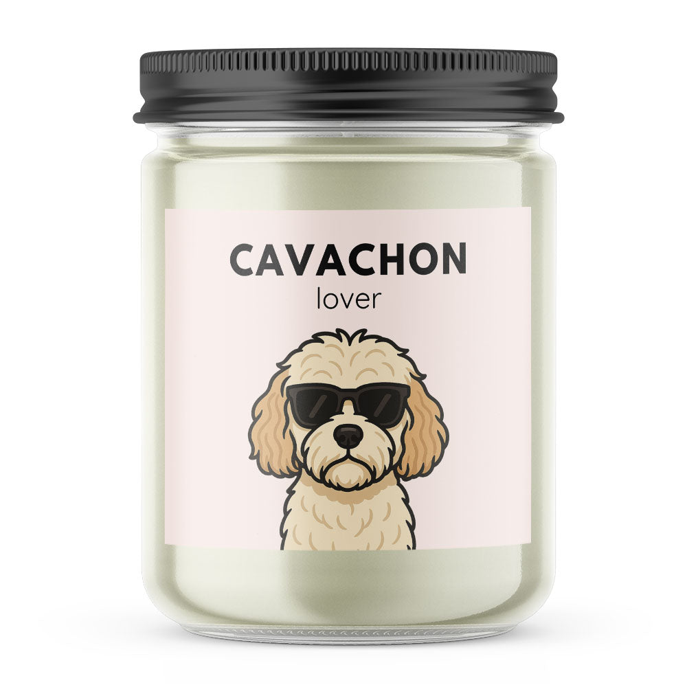 Cavachon Lover