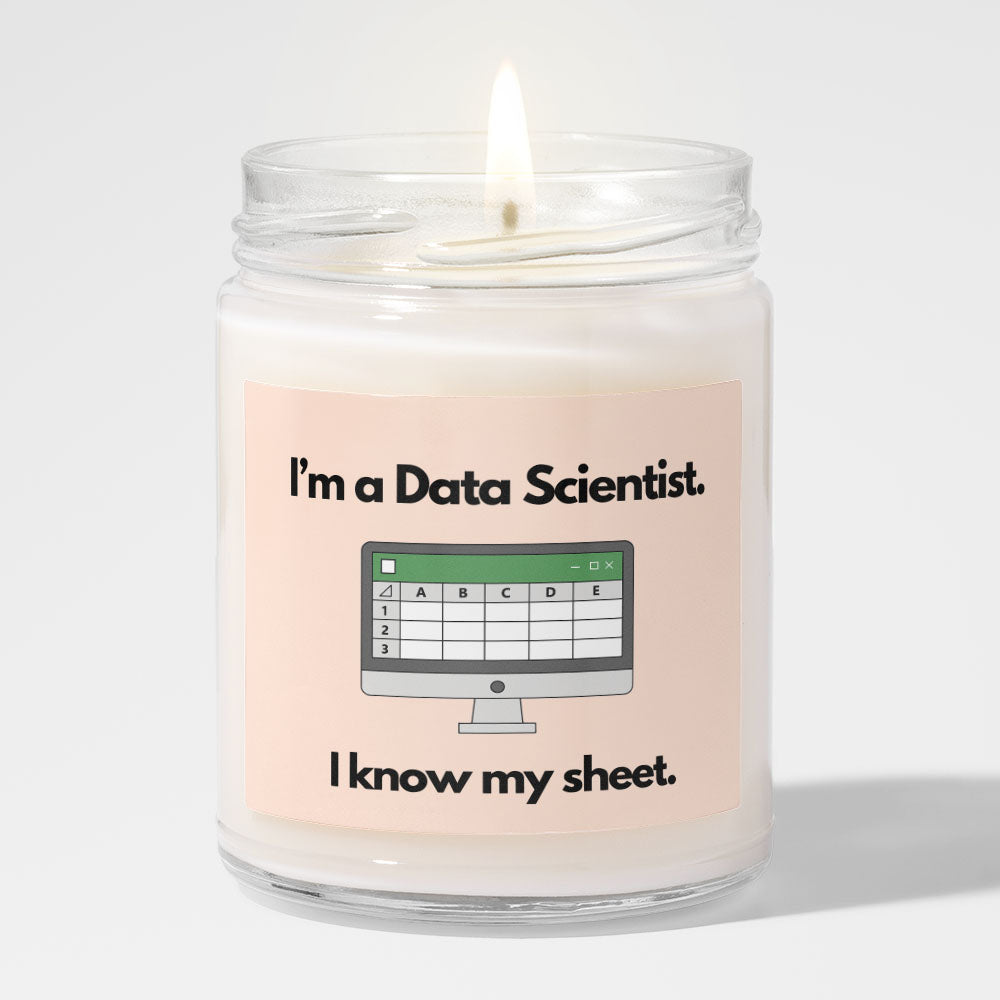 Data Scientist