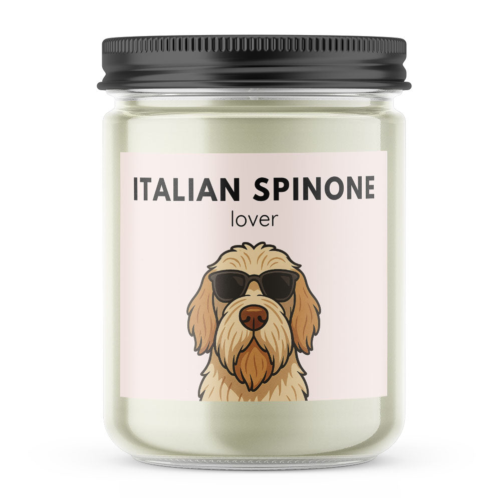 Italian Spinone Lover