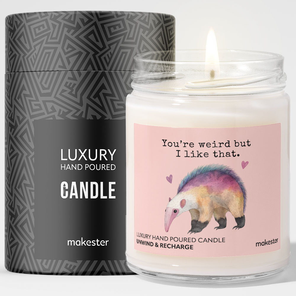 Anteater Weird