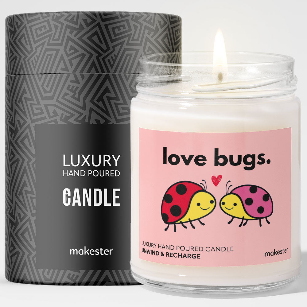 Ladybird Love Bugs
