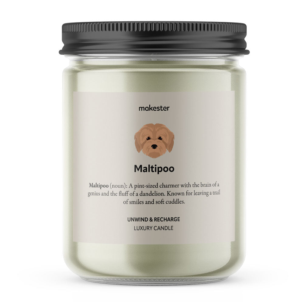 Maltipoo - Makester-