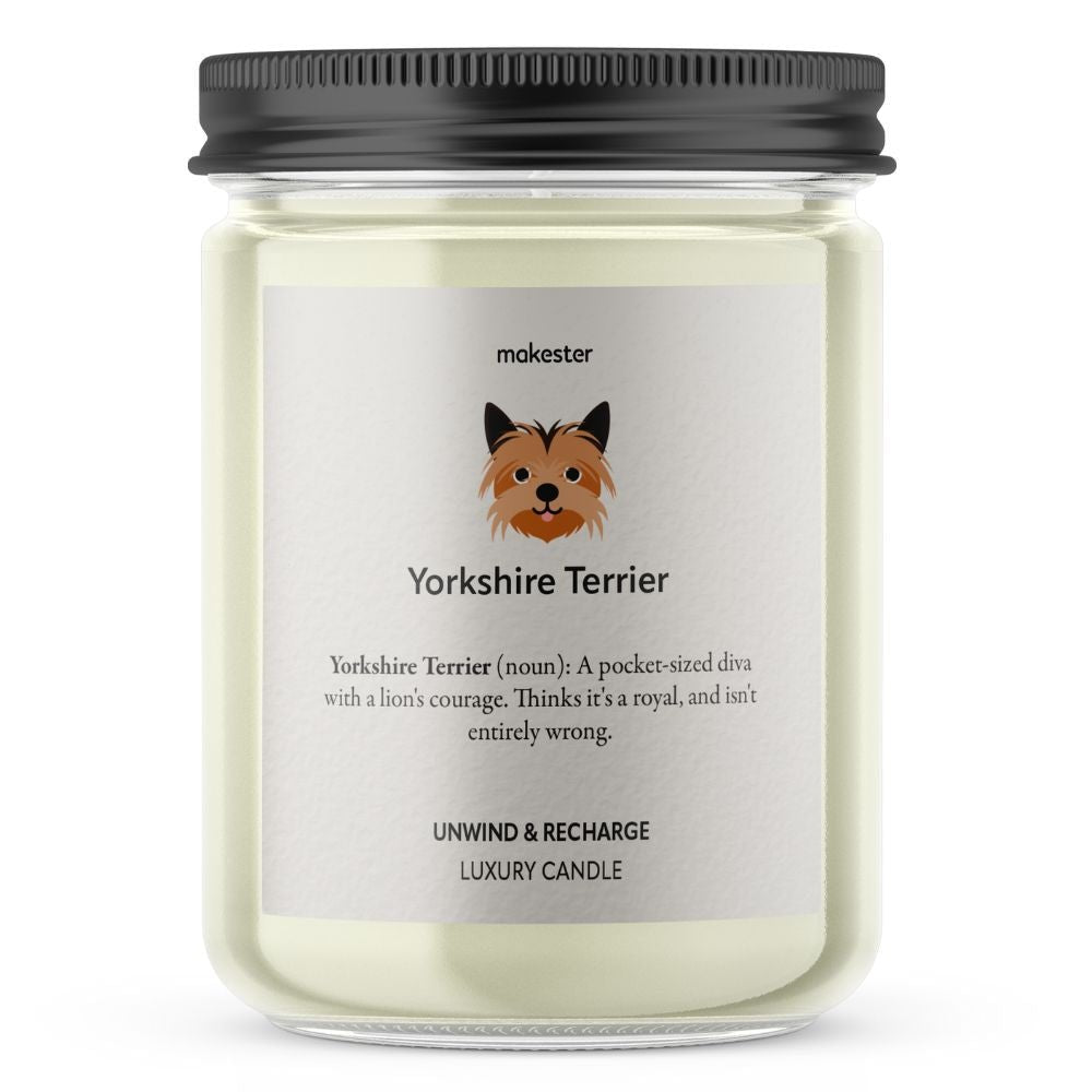 Yorkshire Terrier - Makester-